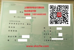 案例展示-2018年仪表仪器中级职称证书