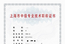 案例展示-2020年中级职称【土木工程管理】（市政）