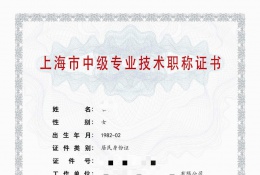 案例展示-2020年中级职称【土木工程设计】（城市规划）