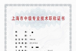 案例展示-2020年中级职称（信息系统）