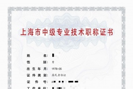 中级证书-2021年中级职称(化工)