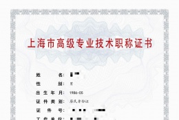 高级证书-2022年高级职称（信息通信与网络工程）