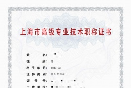 高级证书-2022年高级职称（计算机应用技术）