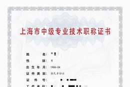 中级证书-2022年中级职称化工（精细化工）
