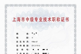 中级证书-2021年中级职称（能源技术研发与应用）