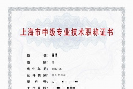 中级证书-2021年中级职称（金属和合成材料）