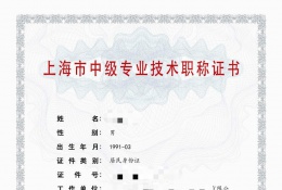 案例展示-2020年中级职称（智能机器人）