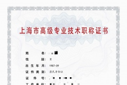 高级证书-2022年高级职称（工业自动化仪表）