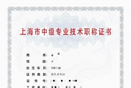 中级证书-2022年中级职称化工（化工材料）