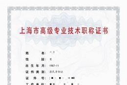 高级证书-2021年高级职称（工业自动化仪表)
