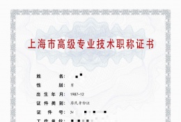 高级证书-2021年高级职称（数据库与大数据技术)