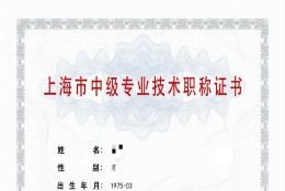 中级证书-2021年中级职称（染整生产技术开发）