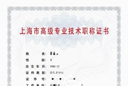 高级证书-2022年高级职称（物联网技术应用）