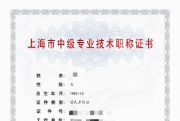 中级证书-2023年轻工中级职称（机电）