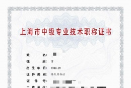 中级证书-2023年经信委直属中级职称（电机电器及电缆）