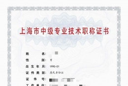 中级证书-2023年浦东机电中级职称  电气（电气装备技术管理）