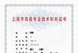 高级证书-2023年高级上海电气（机械、重型机械、柴油机、制冷设备、真空阀门泵机等）