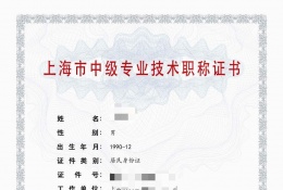 中级证书-2023年科学院新材料中级职称（能源技术研发与应用）