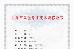 高级证书-2023年高级轻工职称（精细化工）