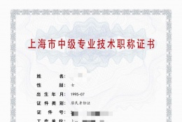 中级证书-2023年轻工中级职称（精细化工）