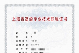 高级证书-2023年高级轻工职称（电气自动化）