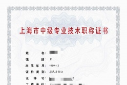 案例展示-2023年轻工中级职称（电气自动化）