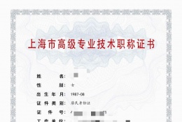 高级证书-2023高级计算机职称（计算机软硬件研发）