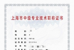 案例展示-2023年仪电中级职称（电子技术应用）