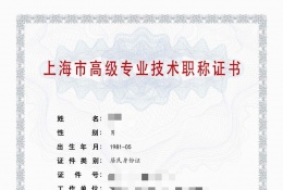 高级证书-2023年高级建工职称（电气）