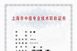 案例展示-2023年崇明建筑中级职称（建筑工程）
