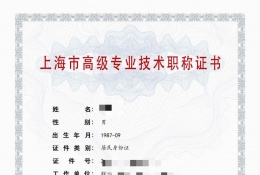 高级证书-2023年高级轻工职称（包装）