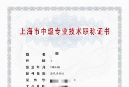中级证书-2023年浦东机电中级职称电气（电站设备）