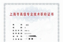 高级证书-2023年高级上药职称（智能医疗器械开发）