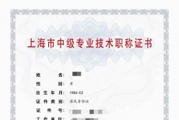 案例展示-2023年轻工中级职称（电子）