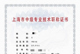 案例展示-2023年仪电中级职称（楼宇自控和安防）
