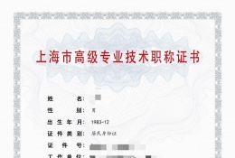 高级证书-2023高级高新技术职称（电气自动化）