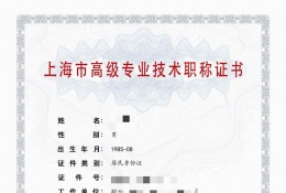 高级证书-2023年高级仪电职称（电子技术应用）