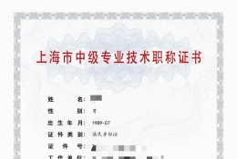 中级证书-2023年经信委直属中级职称（仪器仪表及自动化）