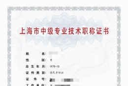中级证书-2023年轻工中级职称（食品）