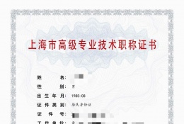 高级证书-2023年高级轻工职称（照明）