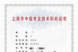 案例展示-2023年仪电中级职称（仪表电子工程项目管理）