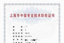 中级证书-2023年轻工中级职称（照明）