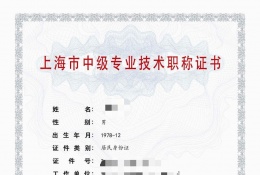 案例展示-2023年轻工中级职称（化工）