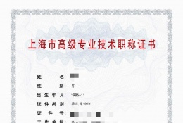 高级证书-2023高级高新技术职称（高分子材料与工程）