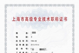 高级证书-2023年高级集成电路(集成电路制造设备开发和制造)
