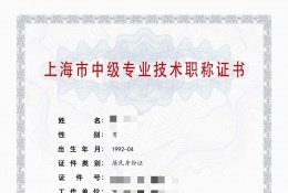 中级证书-2023年浦东机电中级职称  化工（基础化工）