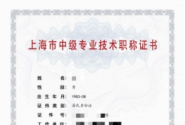 中级证书-2023年郊区机电中级职称（电气）