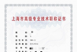 高级证书-2023高级计算机职称（系统集成）