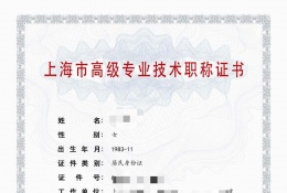高级证书-2023年高级集成电路（芯片设计与开发)