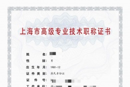 高级证书-2023年高级上海电气（机械，柴油机，制冷设备）